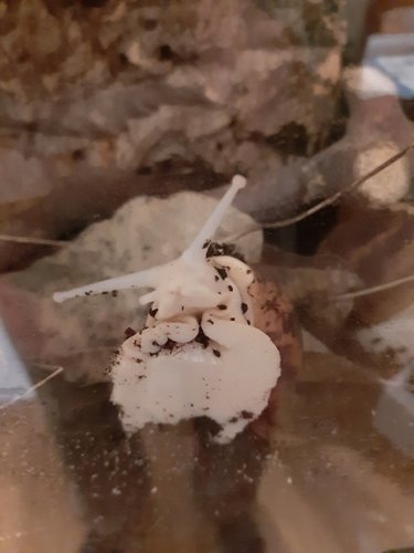 20181121_213219.jpg