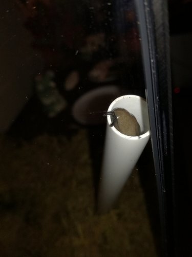 IMG_20181120_225859.jpg