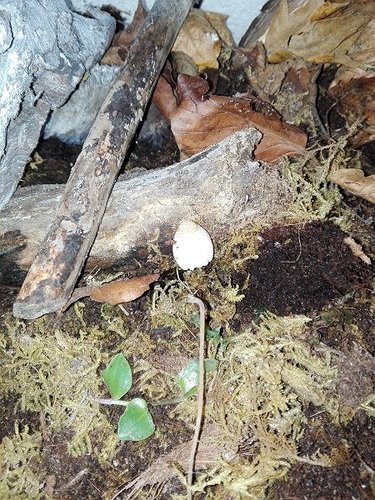IMG_20181124_192818.jpg