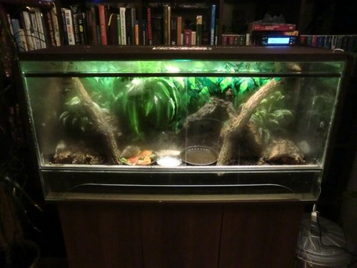 Terrarium.JPG