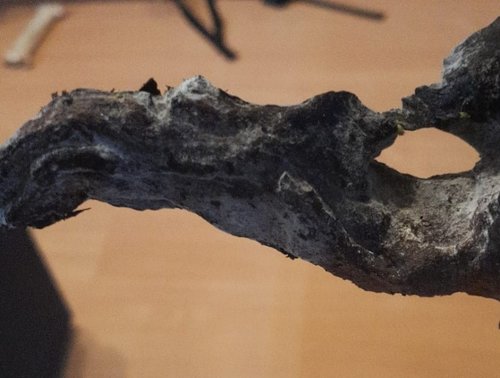 WhatsApp Image 2019-01-06 at 15.11.27.jpeg