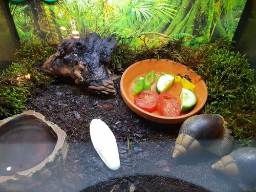 WhatsApp Image 2019-01-07 at 12.57.42.jpeg