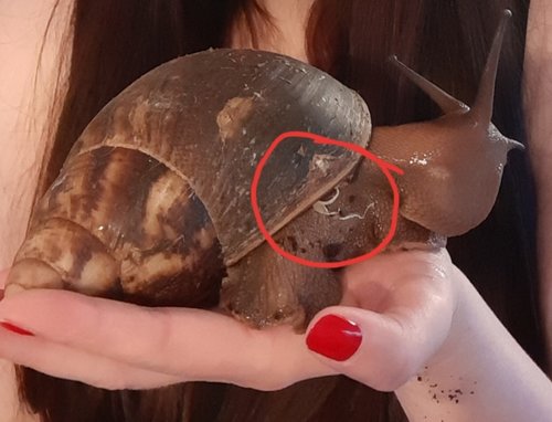 20190205_221717.jpg