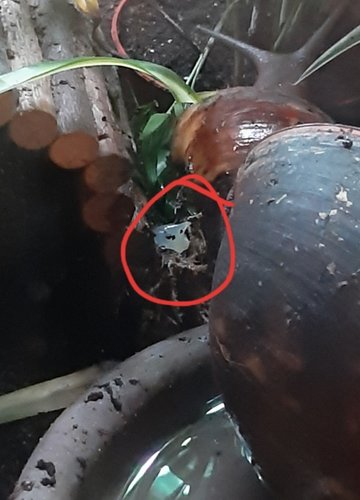 20190205_222512.jpg