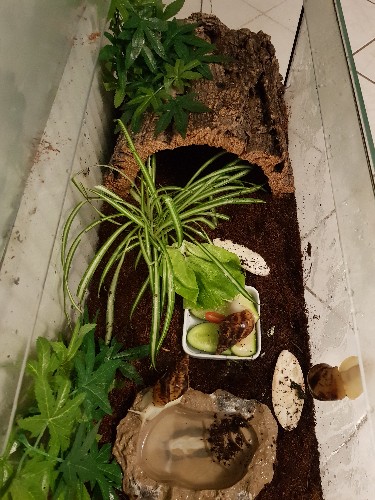 20190223_194427-375x500.jpg