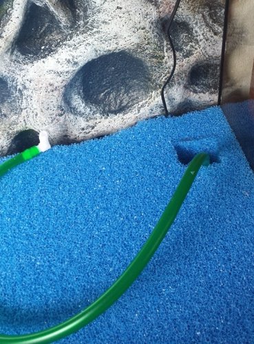 20190305_125144 (2).jpg