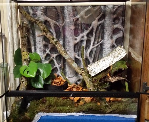 20190305_183956 (2).jpg