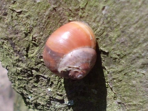 20190321_4973a.jpg