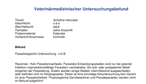 Unbenannt.PNG