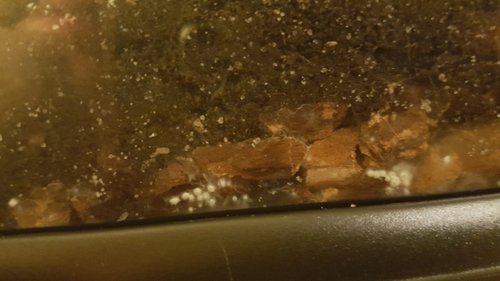 20190402_010827.jpg