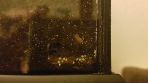 20190402_010412.jpg