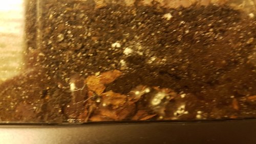 20190402_010346.jpg