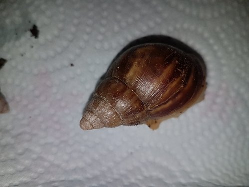 20190417_071519.jpg