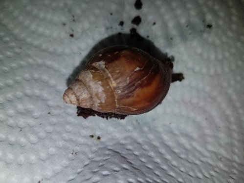 20190417_071544.jpg