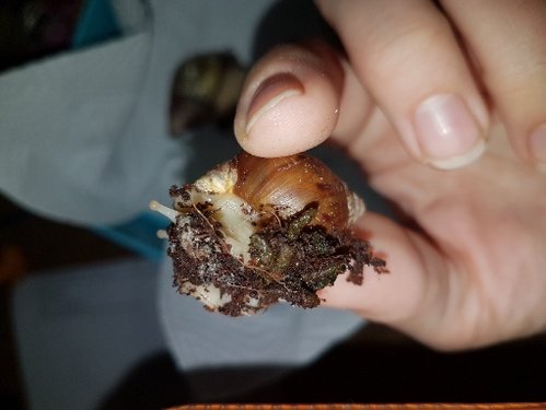 20190417_071556.jpg
