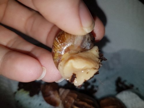 20190417_073334.jpg