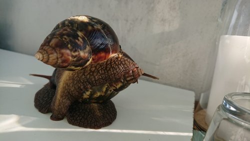 Imelda und Feye Anhalter.jpg