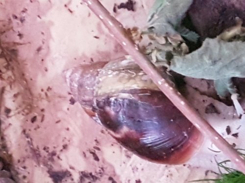 20190504_065516.jpg