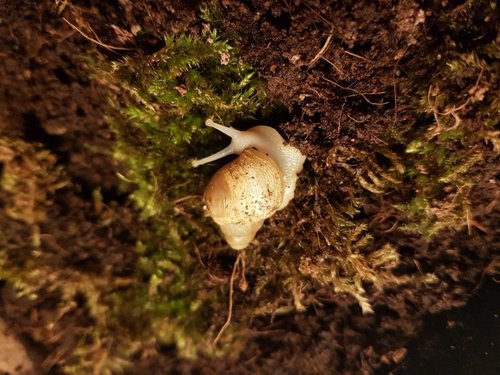 WhatsApp Image 2019-05-25 at 00.05.57.jpeg