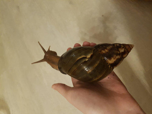 20190628_003721.jpg