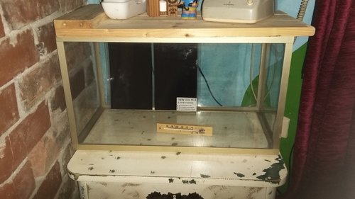 20190803_230852.jpg