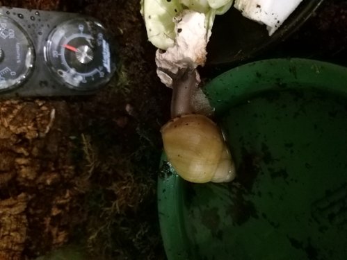 20190808_175641.jpg