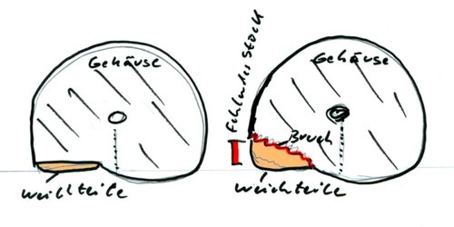 weinbergschnecke-gehaeuse_fehlendes_stueck-schematische_skizze.jpg