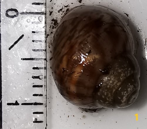 Kleines Terrarium 2.jpg