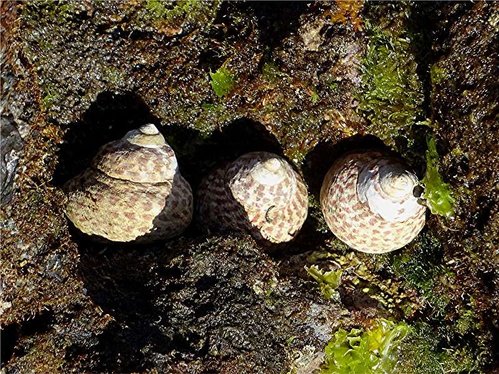 DSC03666 Ausschnitt, Helligkeit, Schärfe, klein.jpg