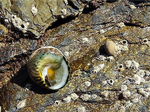 DSC03667 Ausschnitt, Schärfe, klein.jpg