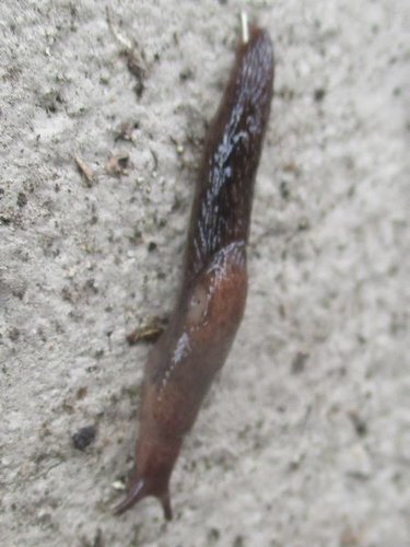 20200225_6811a.jpg