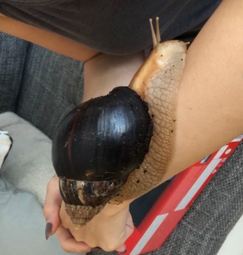 18C77F0F-0429-44A3-8CFF-7827E0D68E2A.jpeg