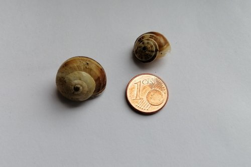 IMG_20200505_125537 (2).jpg