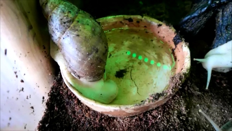 Momentaufnahme 1 (21.06.2020 11-53).png