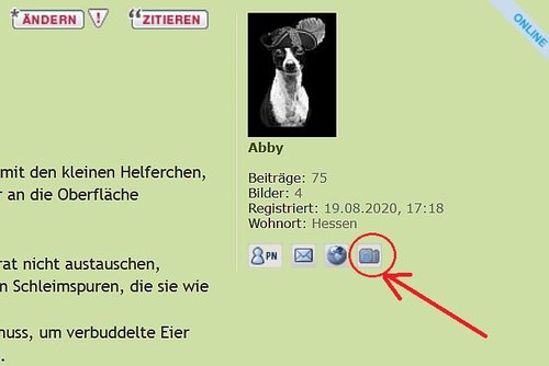 Screenshot_2020-08-27 Schnecken-Forum • Thema anzeigen - Neueinrichtung.jpg