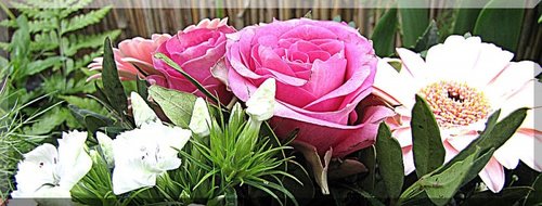 IMG_5623.jpg