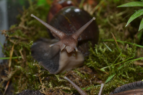 DSC_5264.JPG