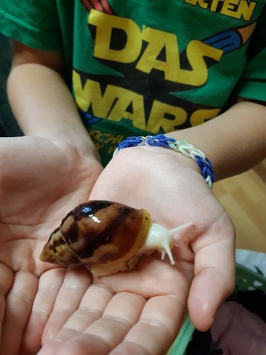 20200901_201220.jpg