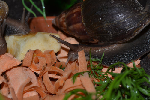 DSC_5303.JPG
