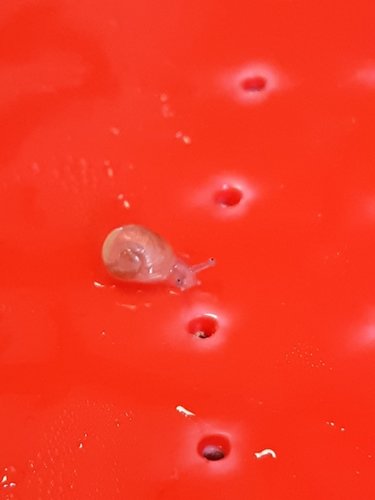 20200906_224242.jpg
