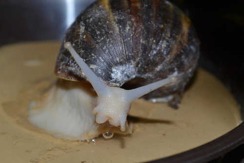 DSC_5429.JPG