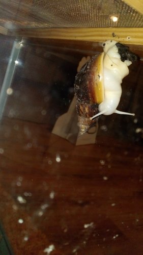 IMG_20200914_203928.jpg
