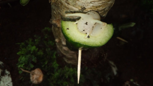 IMG_20200922_171746.jpg