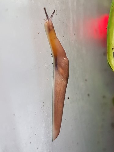 20200925_100345.jpg