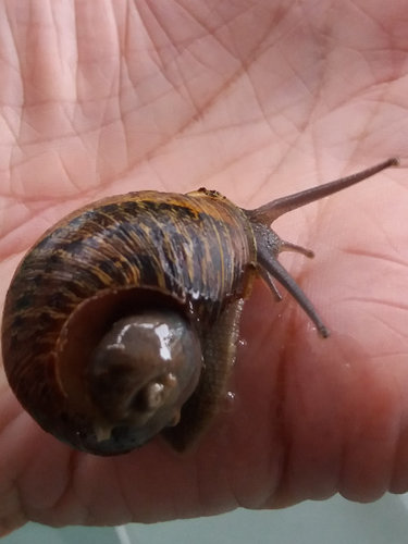 20200929_143315 (2).jpg