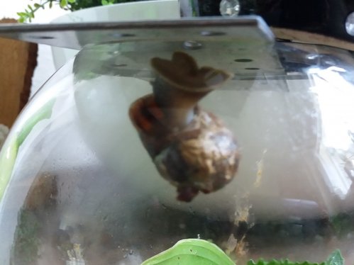 20200930_122313 (2).jpg