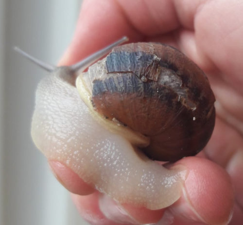 WhatsApp Image 2020-10-15 at 11.04.49 (1).jpeg