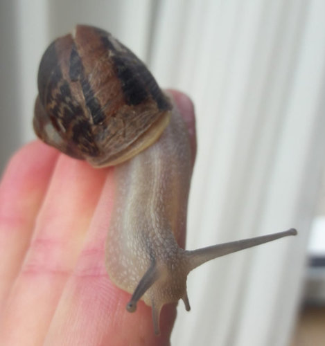 WhatsApp Image 2020-10-15 at 11.04.48.jpeg