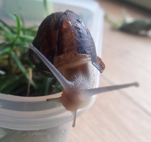 WhatsApp Image 2020-10-15 at 11.04.52.jpeg