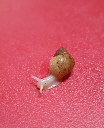 20201102_193316.jpg
